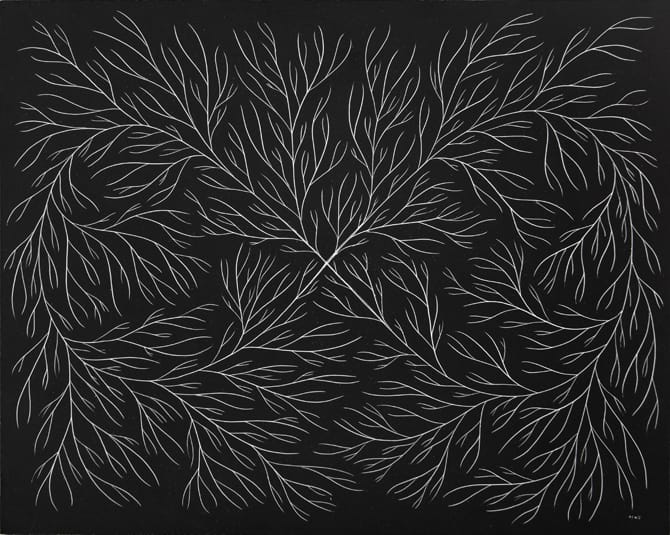 The Nature of Infinite Growth by Mark Warren Jacques